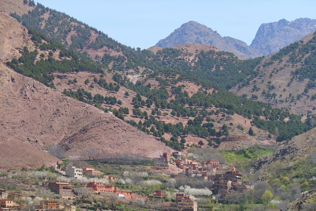 Tamatert Guest House Imlil  Esterno foto