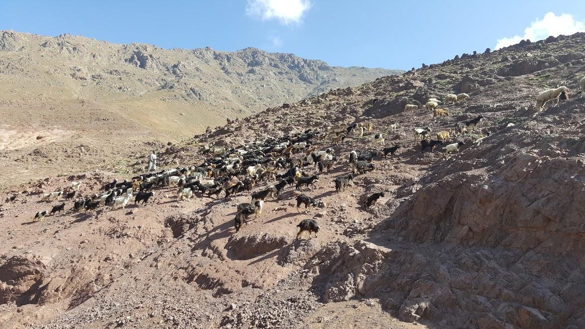 Tamatert Guest House Imlil  Esterno foto